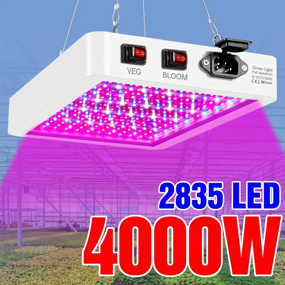 Ǯ Ʈ LED  , Ĺ , 110V  , 4000W, 5000W ½  ,    , 220V